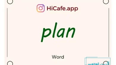 Meaning and usage of plan word