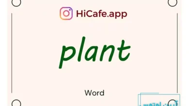 Meaning and usage of plant word