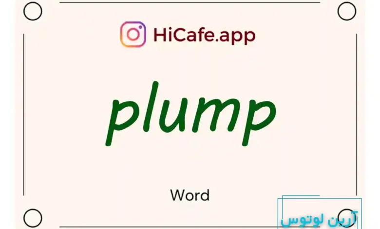 Meaning and usage of plump word