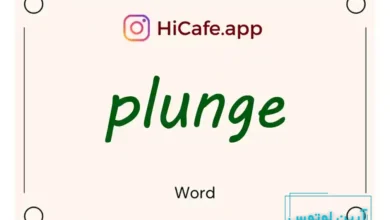 Meaning and usage of plunge word