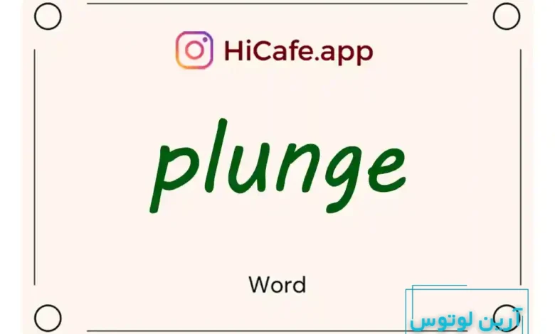 Meaning and usage of plunge word