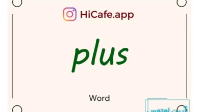 Meaning and usage of plus word