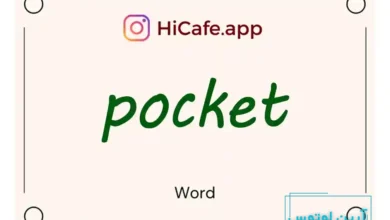 Meaning and usage of pocket word