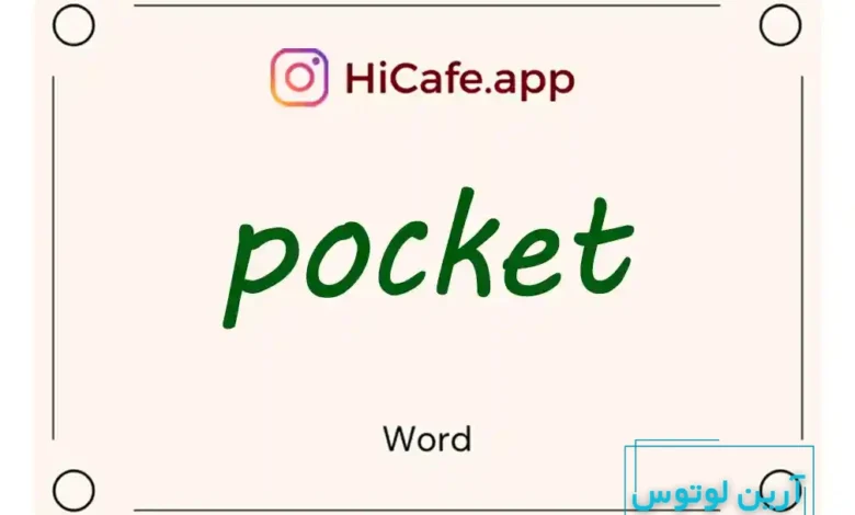 Meaning and usage of pocket word
