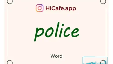 Meaning and usage of police word