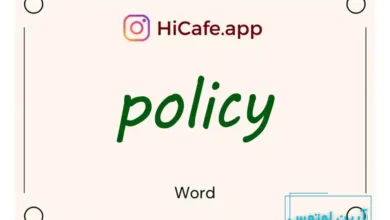 Meaning and usage of policy word