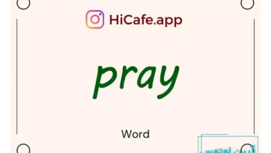 Meaning and usage of pray word