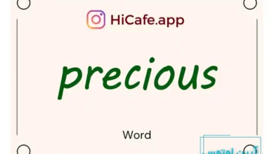 Meaning and usage of precious word