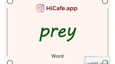 Meaning and usage of prey word