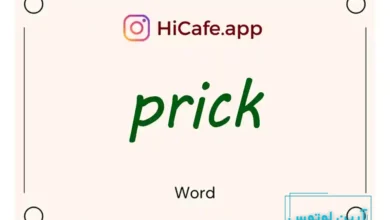 Meaning and usage of prick word