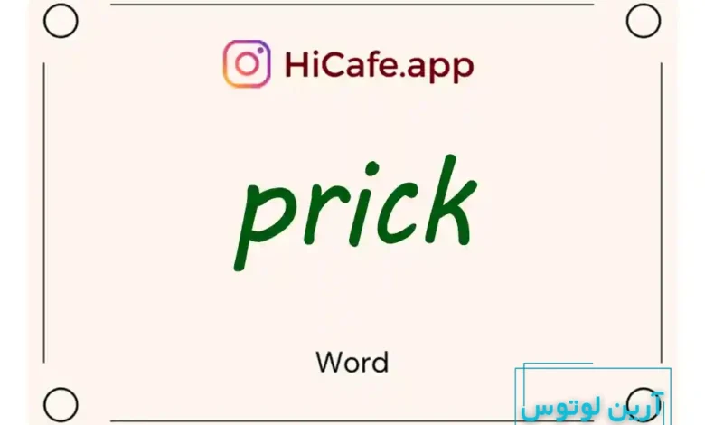 Meaning and usage of prick word