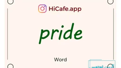 Meaning and usage of pride word