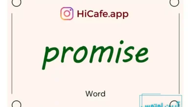 Meaning and usage of promise word