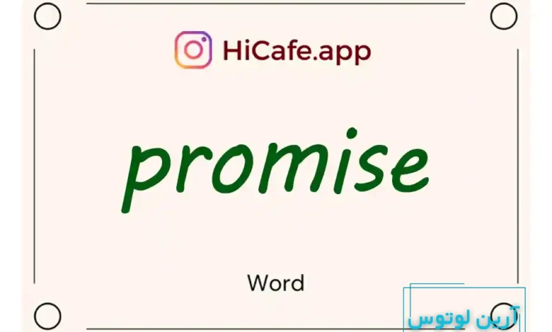 Meaning and usage of promise word
