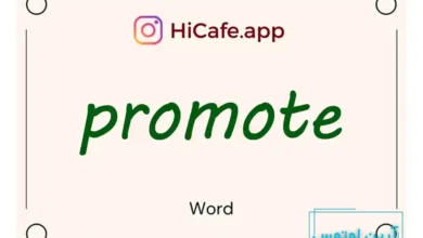 Meaning and usage of promote word