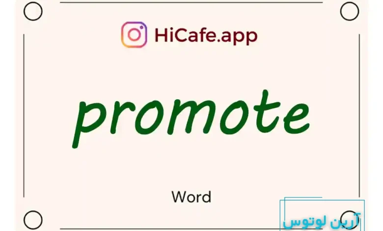 Meaning and usage of promote word