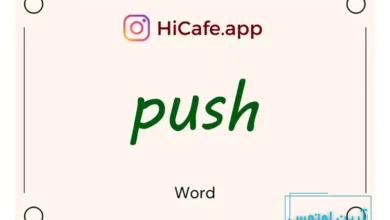 Meaning and usage of push word