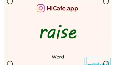 Meaning and usage of raise word