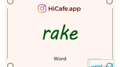 Meaning and usage of rake word