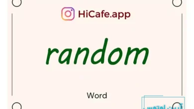 Meaning and usage of random word