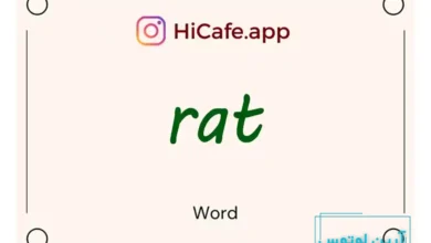Meaning and usage of rat word