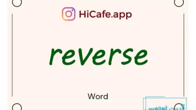 Meaning and usage of reverse word