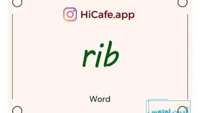 Meaning and usage of rib word