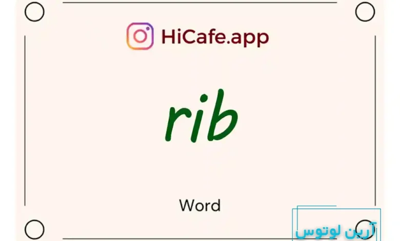 Meaning and usage of rib word