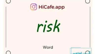 Meaning and usage of risk word