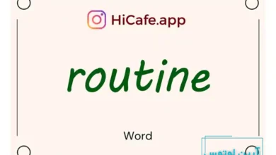 Meaning and usage of routine word