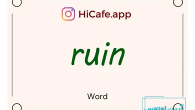 Meaning and usage of ruin word