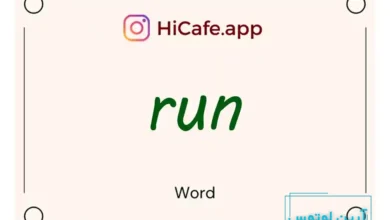 Meaning and usage of run word