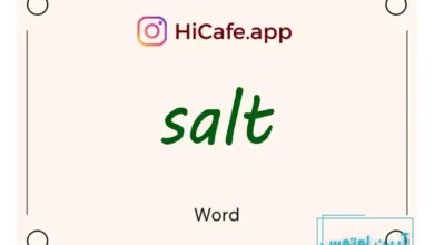 Meaning and usage of salt word