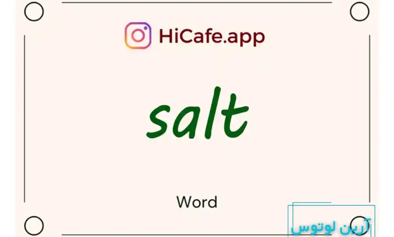 Meaning and usage of salt word