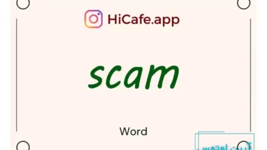 Meaning and usage of scam word