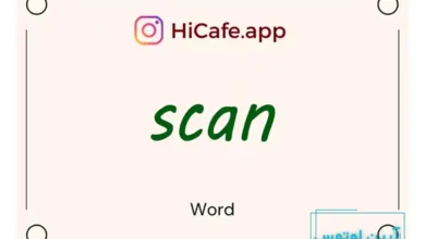 Meaning and usage of scan word