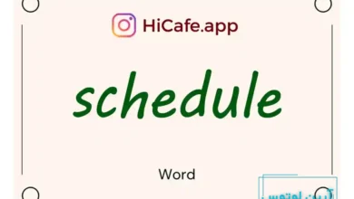 Meaning and usage of schedule word