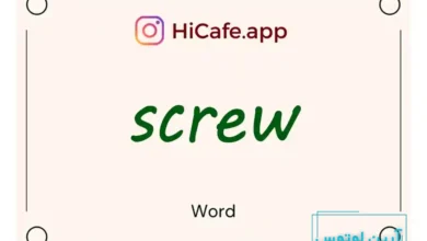 Meaning and usage of screw word