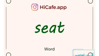 Meaning and usage of seat word
