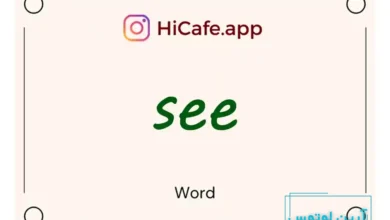 Meaning and usage of see word