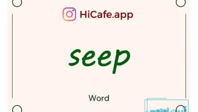 Meaning and usage of seep word