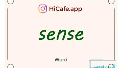 Meaning and usage of sense word