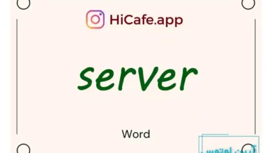Meaning and usage of server word