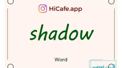 Meaning and usage of shadow word