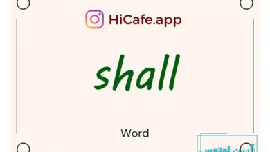 Meaning and usage of shall word