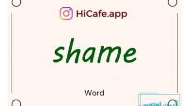 Meaning and usage of shame word