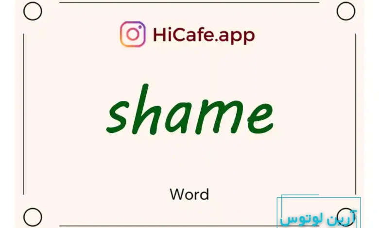 Meaning and usage of shame word