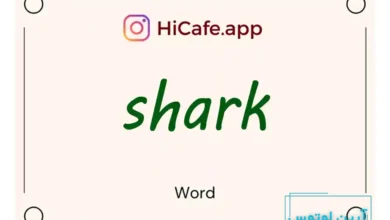 Meaning and usage of shark word
