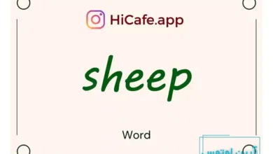 Meaning and usage of sheep word