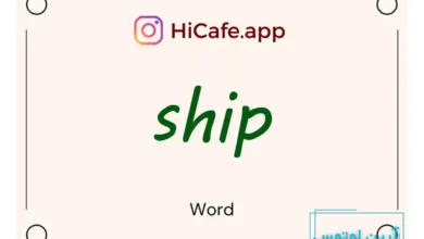Meaning and usage of ship word